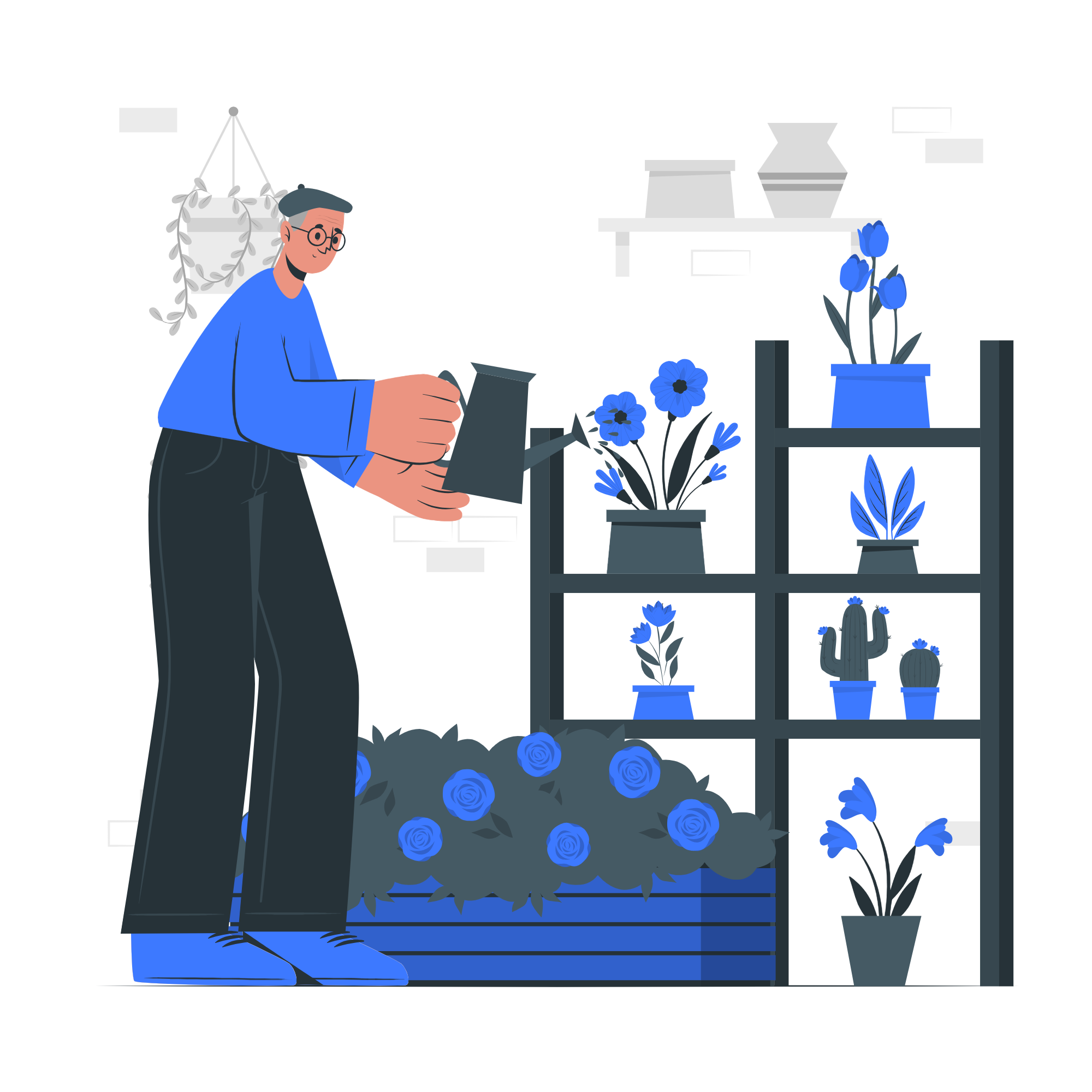 Herb garden setup and maintenance guide